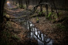 Autumn lethargy ... / ***