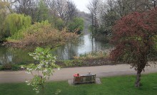 Green Park / ***