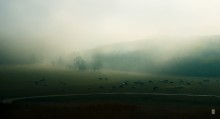 ... About the fog / ***