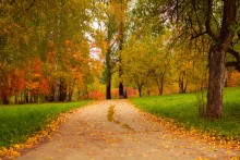 Autumn colors! / ***