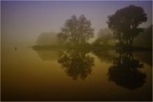 In the mist of dawn / ***