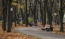 Autumn Park / ***