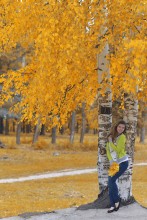 Yellow birch / ***
