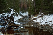 First snow / ***