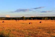 August in the village / ***