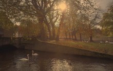 Autumn in Bruges. / ***