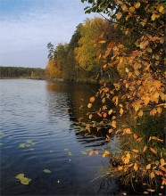 The interior of the autumn / ***