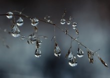 Droplets - icicles ... / ***