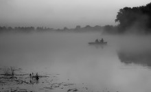 In the misty haze / ***