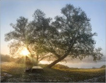 Morning on the river Drut. / ***