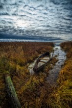 Late autumn in northern Belarus / ***