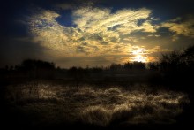 In light of dawn ... 5. / ***