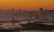 Fog / ***