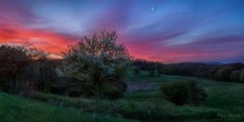 Dawn over the old garden. / ***