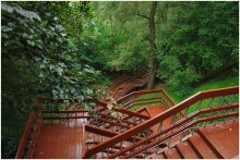 Kolomenskoye, rain / ***