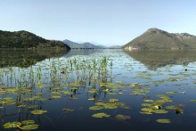 Lake Skadar / ***