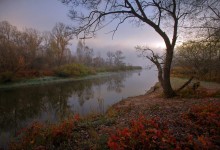 Shades of autumn morning / .....