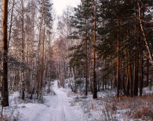 Road in winter. / ***