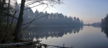 the dawn ... / ______
