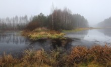 Foggy morning / ***