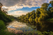 Summer evening on the banks of the Desna / ***