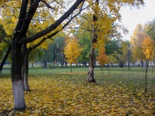 * Raznotsvete autumn / ***