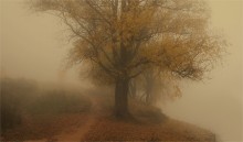 Autumn mists / ***