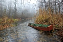 In the bayou / ***