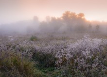 &quot;Colors of frost in the morning&quot; / ***