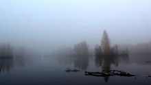 Autumn mist / ***