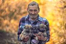 The old man and puppies / ***