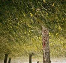 &quot;Valley of the whispering grass&quot; / ***