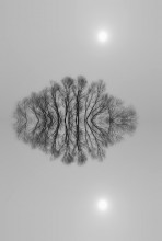 Silence / ***