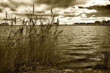 Face of an angel over the waters of the estuary ... / ***