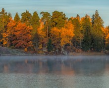 Autumn view. / ***