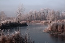 Frosty morning / ***