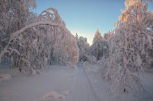 Winter road / ***
