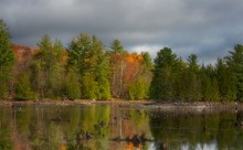 Transparent Autumn / Transparent Autumn