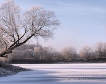 Frost on the pond / ***