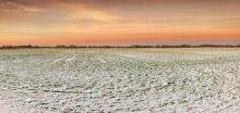 Snow-covered field / ***