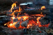bonfire 1 / ***