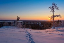 Footprints in the snow / ***