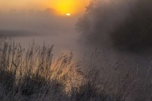 Cold morning / ***