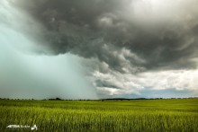 Before the heavy rain! / ***