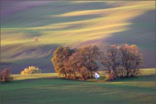 Chapel in the fields of Moravia / [img]http://35photo.ru/photos_series/625/625391.jpg[/img]
