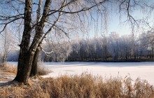 Winter Pond / ***