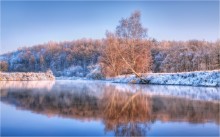 The beginning of winter / ***