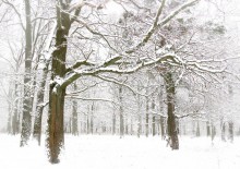 It was snow ... / ***