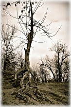 they leave ... / ***