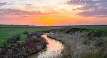 Steppe river. / ***